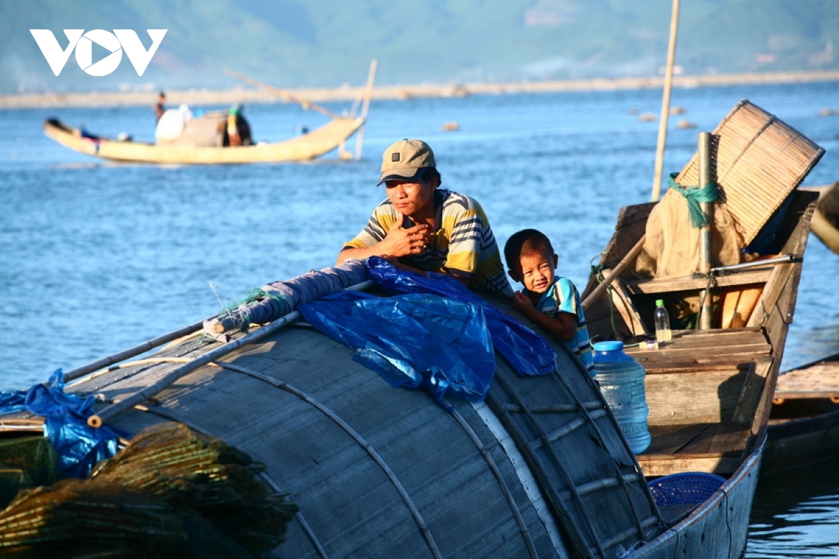 discovering natural beauty and life in cau hai lagoon picture 12