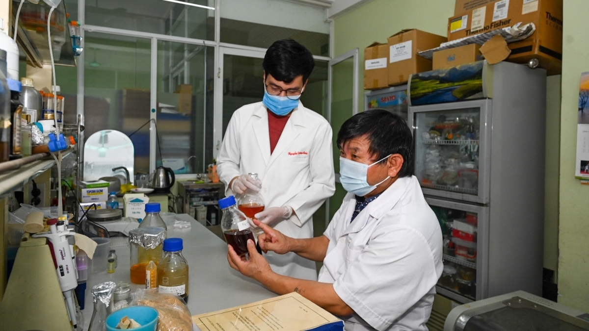 made-in-vietnam vipdervir drug proves effective against sars-cov-2 scientists picture 2