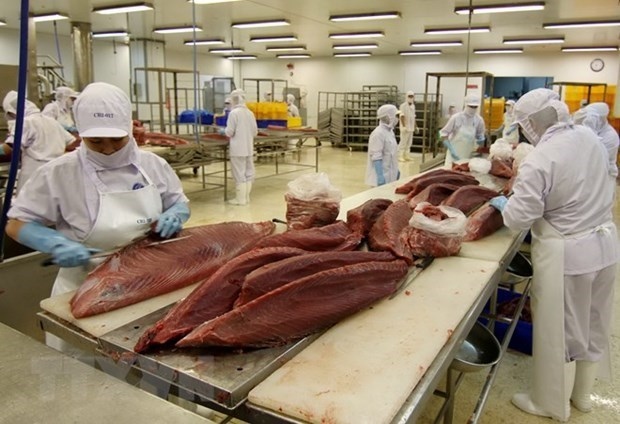 tuna exporters forecast to meet difficulties in q3 picture 1