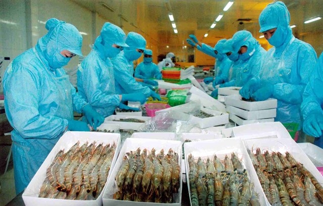 australia increases imports of vietnamese shrimp picture 1