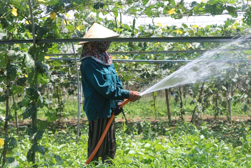 tay ninh tong xet nghiem dot 2, phu yen tiep tuc gian cach xa hoi, Da nang ho tro nong dan hinh anh 3