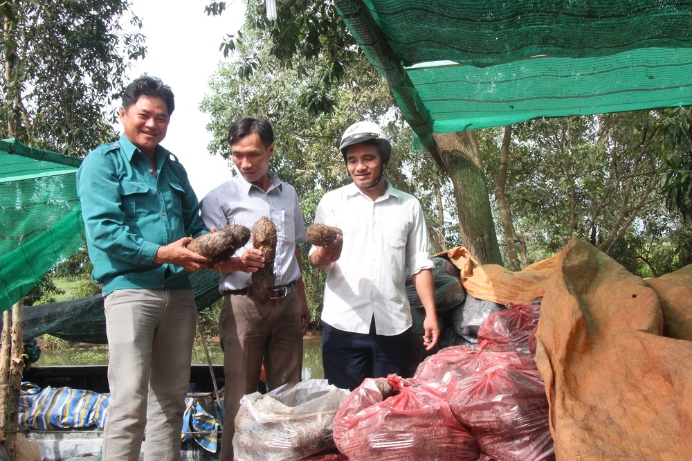 Long An nỗ lực đưa nông sản lên sàn thương mại điện tử