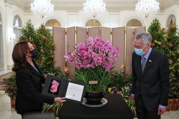 Phó tổng thống Mỹ Harris (trái) và Thủ tướng Singapore Lý Hiển Long đứng cạnh chậu hoa lan mà bà Harris được tặng hôm nay. Ảnh: Straits Times.