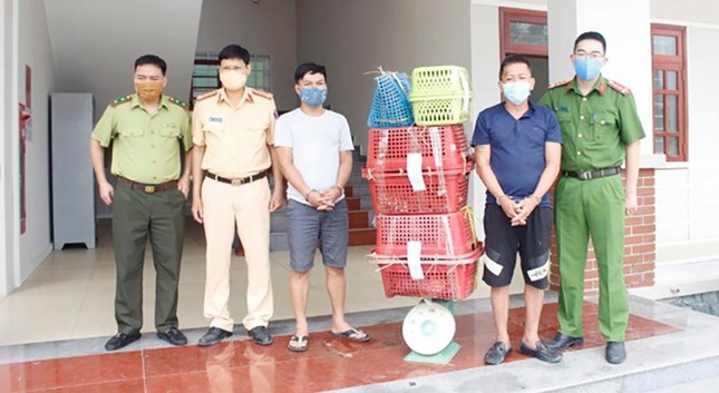two arrested for illicitly transporting seven tiger individuals picture 1