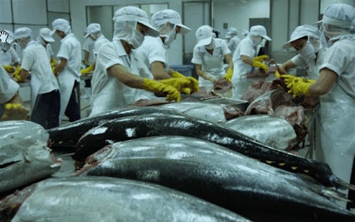 tuna exports to major markets drop due to covid-19 picture 1