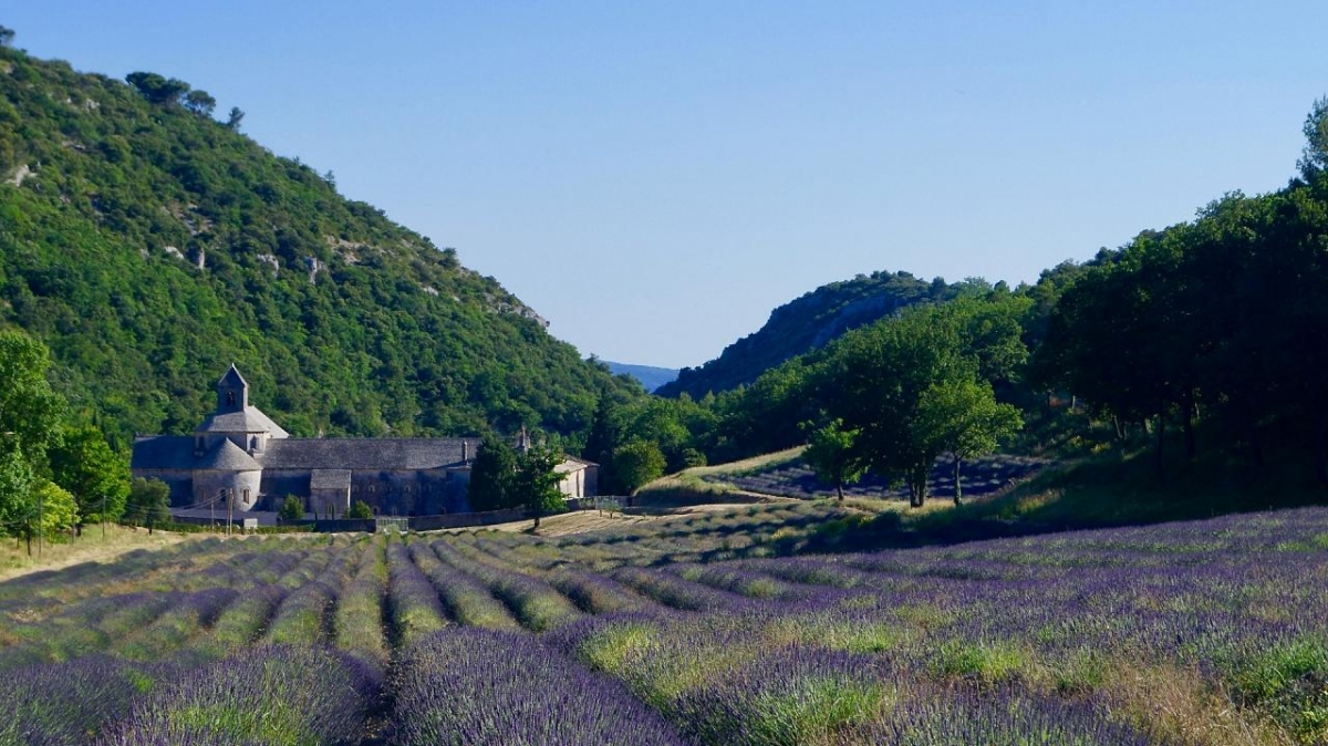 Sở hữu những khung cảnh đồng quê tuyệt đẹp như cánh đồng hoa oải hương, hoa hướng dương hay cây ô liu, Provence (Pháp) được biết đến với nhịp sống chậm rãi. Quanh khu vực có hơn 2.000 điểm du lịch để tham quan và 14.000 lựa chọn để lưu trú, vì vậy du khách sẽ bận rộn với những trải nghiệm thay vì sử dụng điện thoại. Tốc độ internet ở đây thấp hơn mức trung bình, khiến du khách tập trung cho chuyến du lịch hơn.