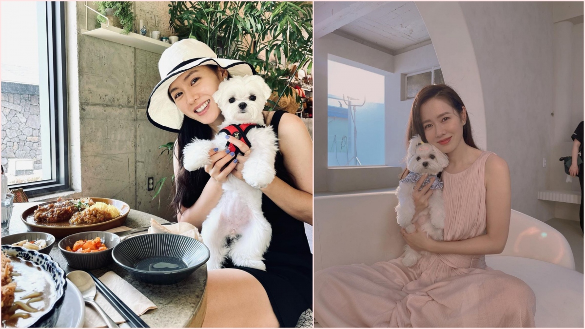 Trong bài đăng mới nhất, Son Ye-jin cùng Kitty gửi lời chào đến hàng triệu người theo dõi trên Instagram và hỏi thăm về kỳ nghỉ Chuseok truyền thống của Hàn Quốc vừa diễn ra. Gần đây, chú chó Kitty cũng đã đi nghỉ cùng cô chủ Son Ye-jin tại đảo Jeju.