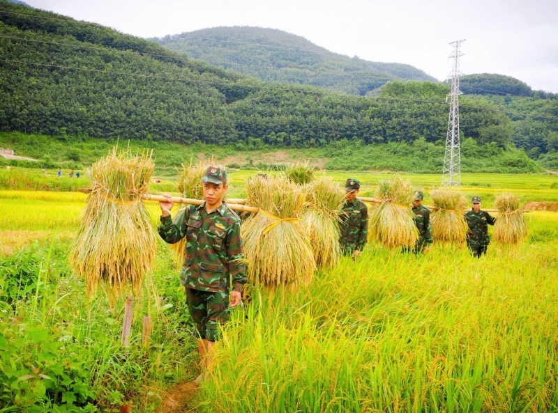 Tình quân- dân làm nên những “Mùa vàng”