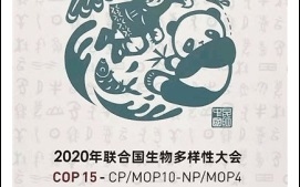 Biểu tượng của Hội nghị COP 15.