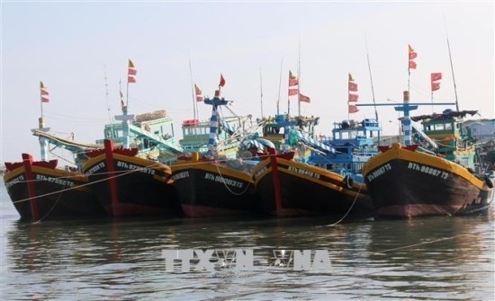binh thuan province makes progress in fighting iuu fishing picture 1 binh thuan province makes progress in fighting iuu fishing picture 1