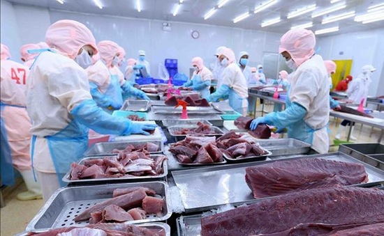 vietnam becomes largest tuna supplier to israel picture 1