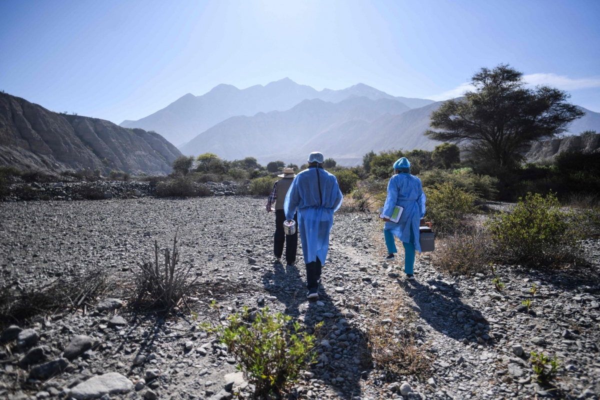 Các nhân viên y tế đi bộ vào tiêm vaccine cho người cao tuổi tại một khu vực xa xôi ở Peru vào tháng 7/2021. Ảnh: Getty