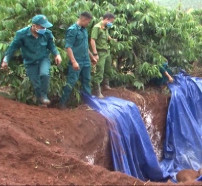 Dak nong tai xuat hien dich ta lon chau phi hinh anh 1