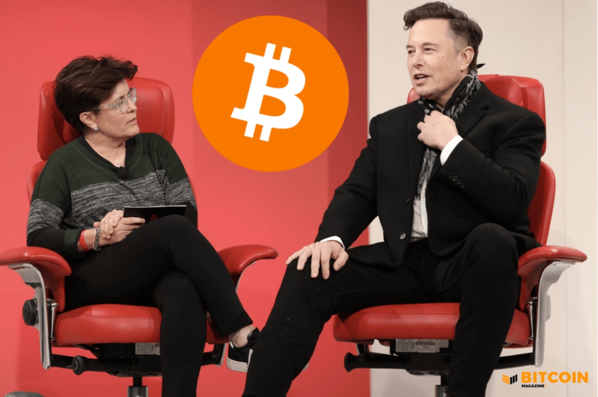 Bitcoin tiếp tục lao dốc, cả những coin tiềm năng nhất cũng lao theo