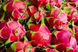 China resumes importing Vietnamese dragon fruit, bananas