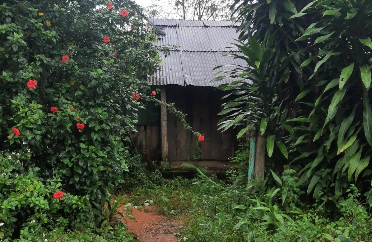 hanh trinh hai ngay dem truy bat doi tuong mua ban ma tuy trong rung hinh anh 3