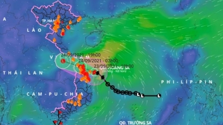 dianmu weakens, heavy rain drenches central vietnam picture 1