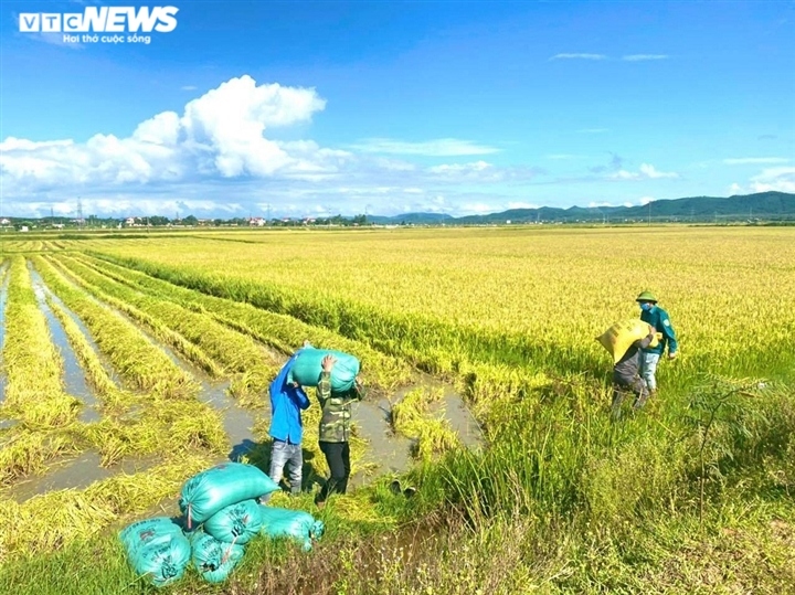 locals in central vietnam rush to cope with upcoming typhoon picture 2 locals in central vietnam rush to cope with upcoming typhoon picture 2