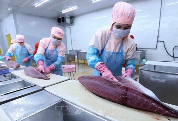 tuna exports to eu see strong surge thanks to evfta picture 1