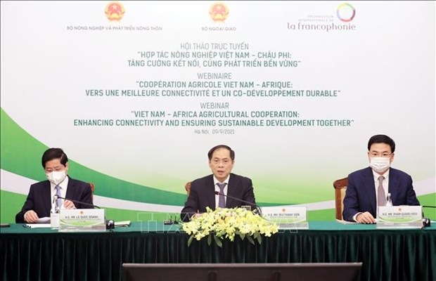 seminar seeks way to boost sustainable vietnam-africa farming cooperation picture 1
