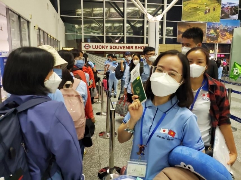 Dieu duong, ho ly cua viet nam duoc nhat ban danh gia cao hinh anh 2