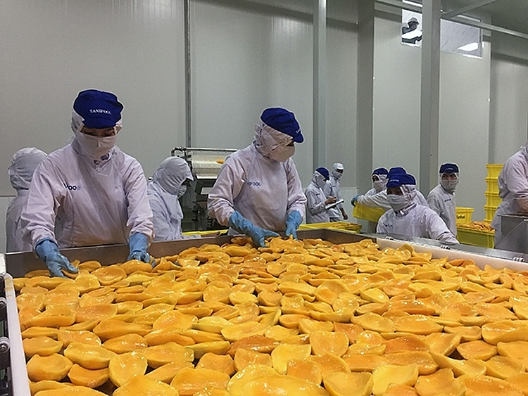 russia increases imports of processed fruit, vegetables from vietnam picture 1