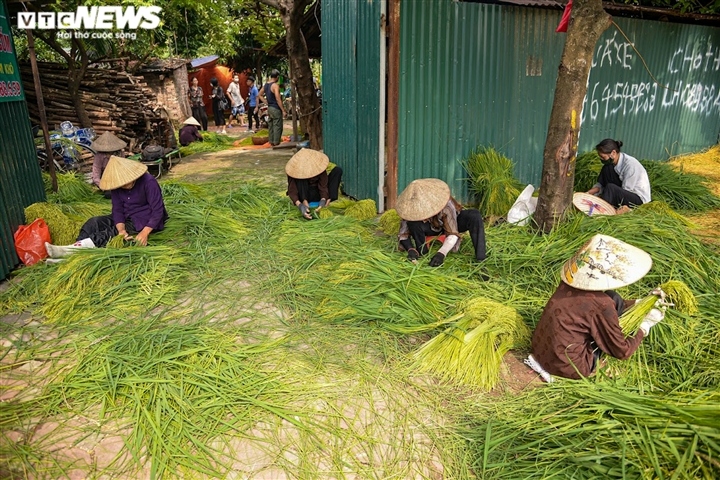 ​Làng cốm Mễ Trì, Hà Nội đỏ lửa, rộn vang tiếng chày sau thời gian giãn cách