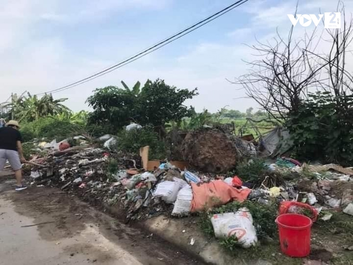 nguoi phu nu don nui rac, lam duong hoa hinh anh 1