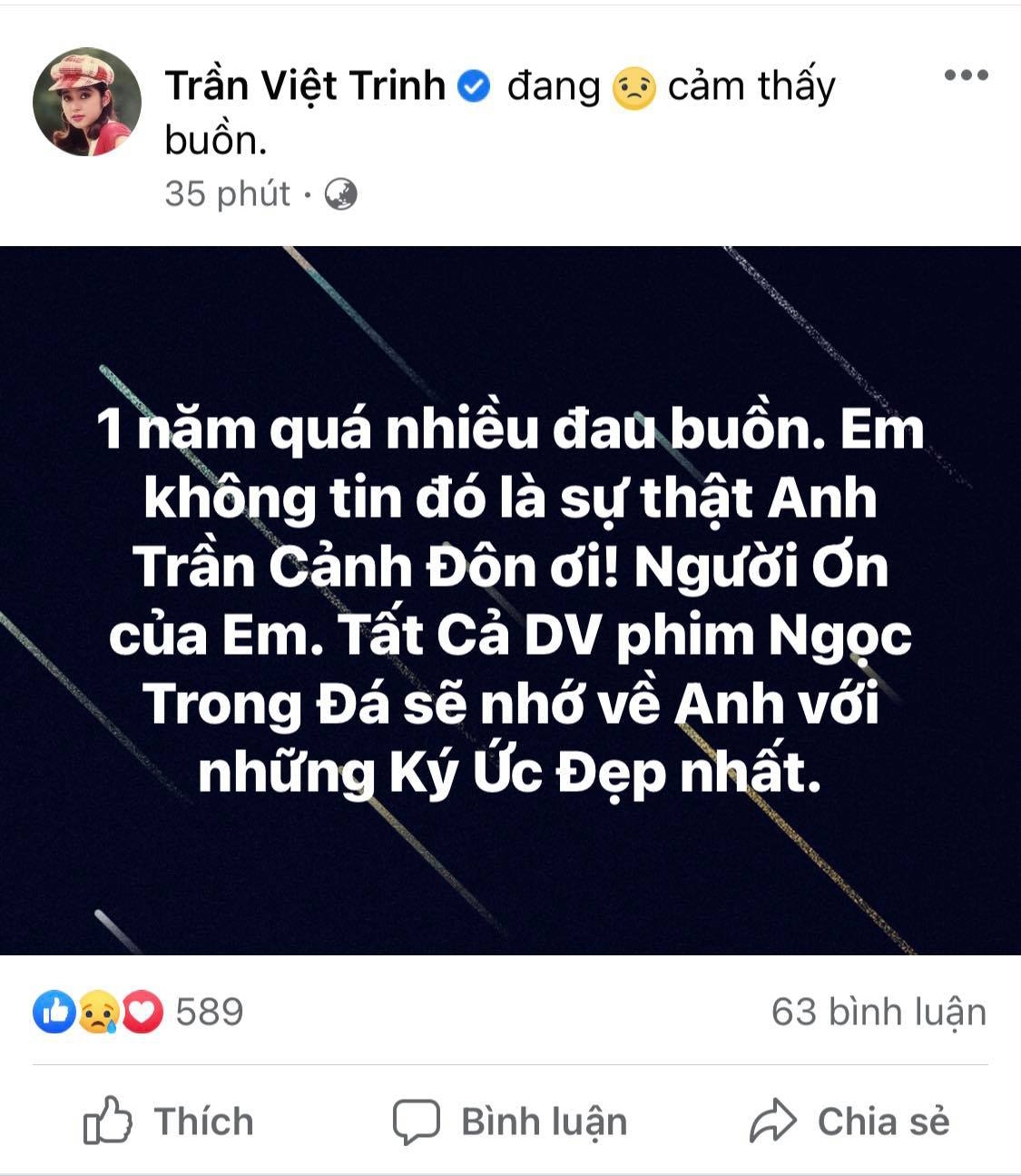 viet trinh, nguyen vu dau buon truoc su ra di cua dao dien tran canh Don hinh anh 2