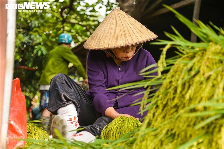 lang com me tri, ha noi do lua, ron vang tieng chay sau thoi gian gian cach hinh anh 3