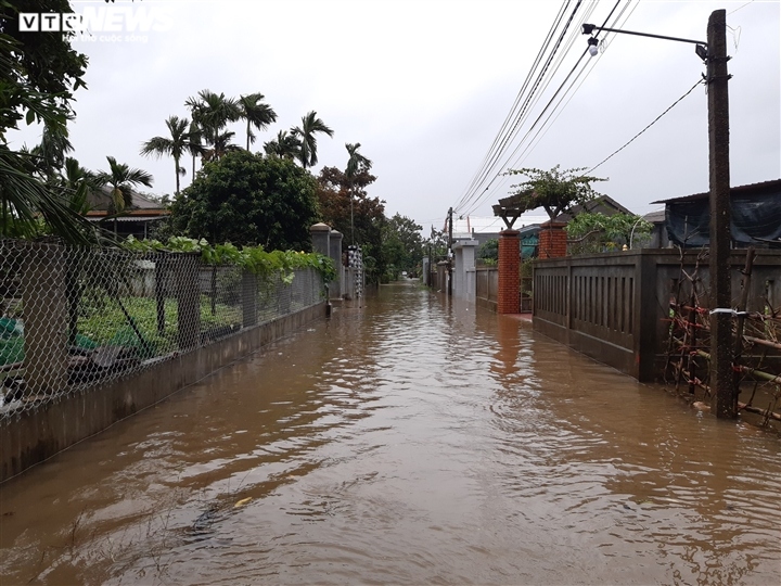 mua lon o hue, nuoc ngap quoc lo, dan cheo thuyen tren duong hinh anh 3