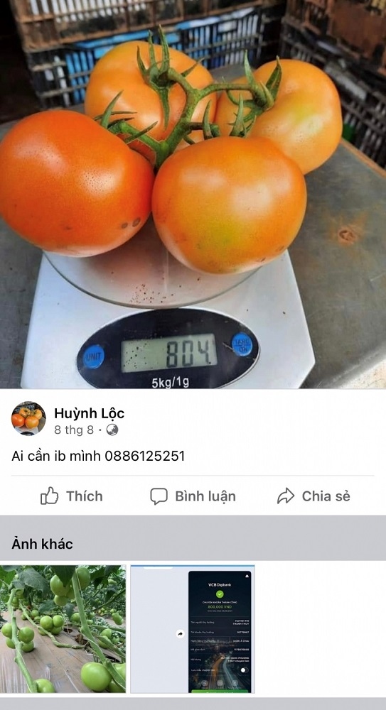Một trong những tài khoản facebook do nhóm của Hoàng tạo lập để thực hiện hành vi lừa đảo