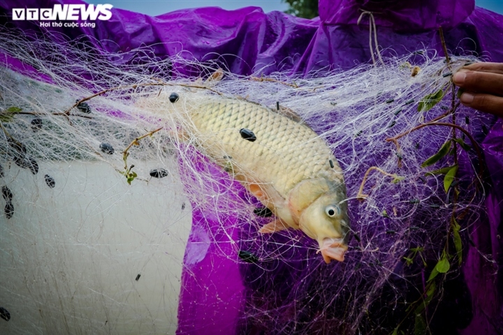 nuoc dang nhanh, nguoi dan ha tinh giang luoi bat ca giua duong hinh anh 5