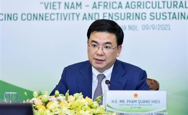 vietnam aspires to boost cooperation with african nations picture 1