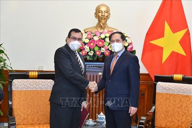 vietnam wishes to deepen relations with panama fm picture 1