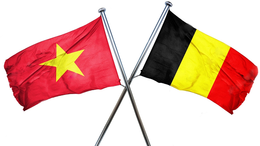 Belgium shares development experience with Vietnam