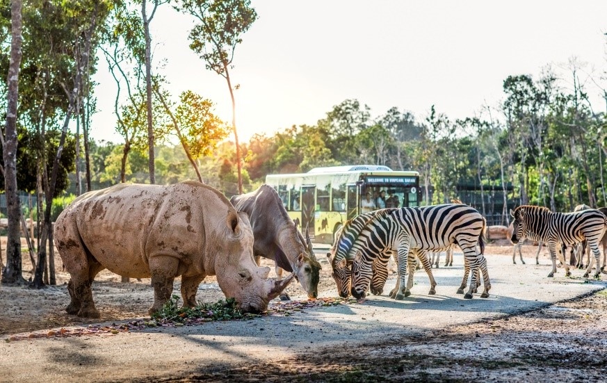 mot ngay vao vai nha dong vat hoc giua thien duong hoang da vinpearl safari hinh anh 7