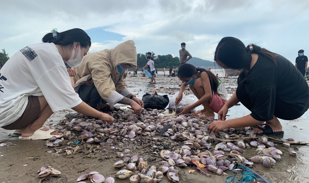 nghe an dan trang dem thu loc bien sau bao so 8 hinh anh 3