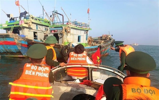 fishery sector committed to combating iuu fishing picture 1