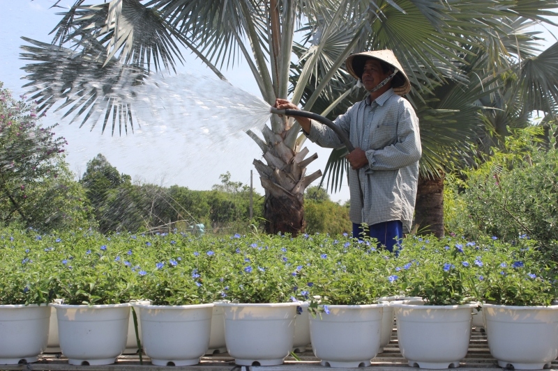 Người lao động bị ảnh hưởng dịch tại Vĩnh Long được vay 100 triệu ...