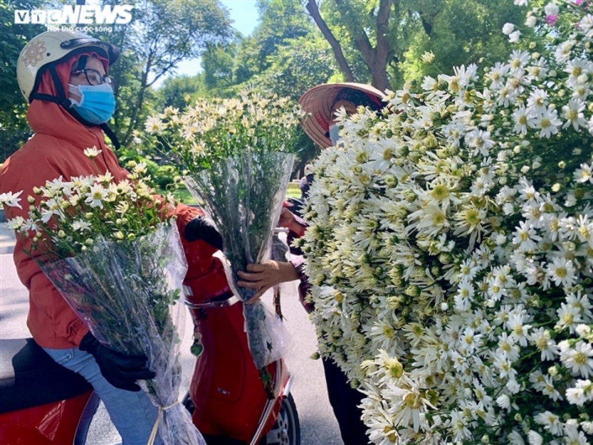 hanoi streets dotted with ox-eye daisies as winter approaches picture 13