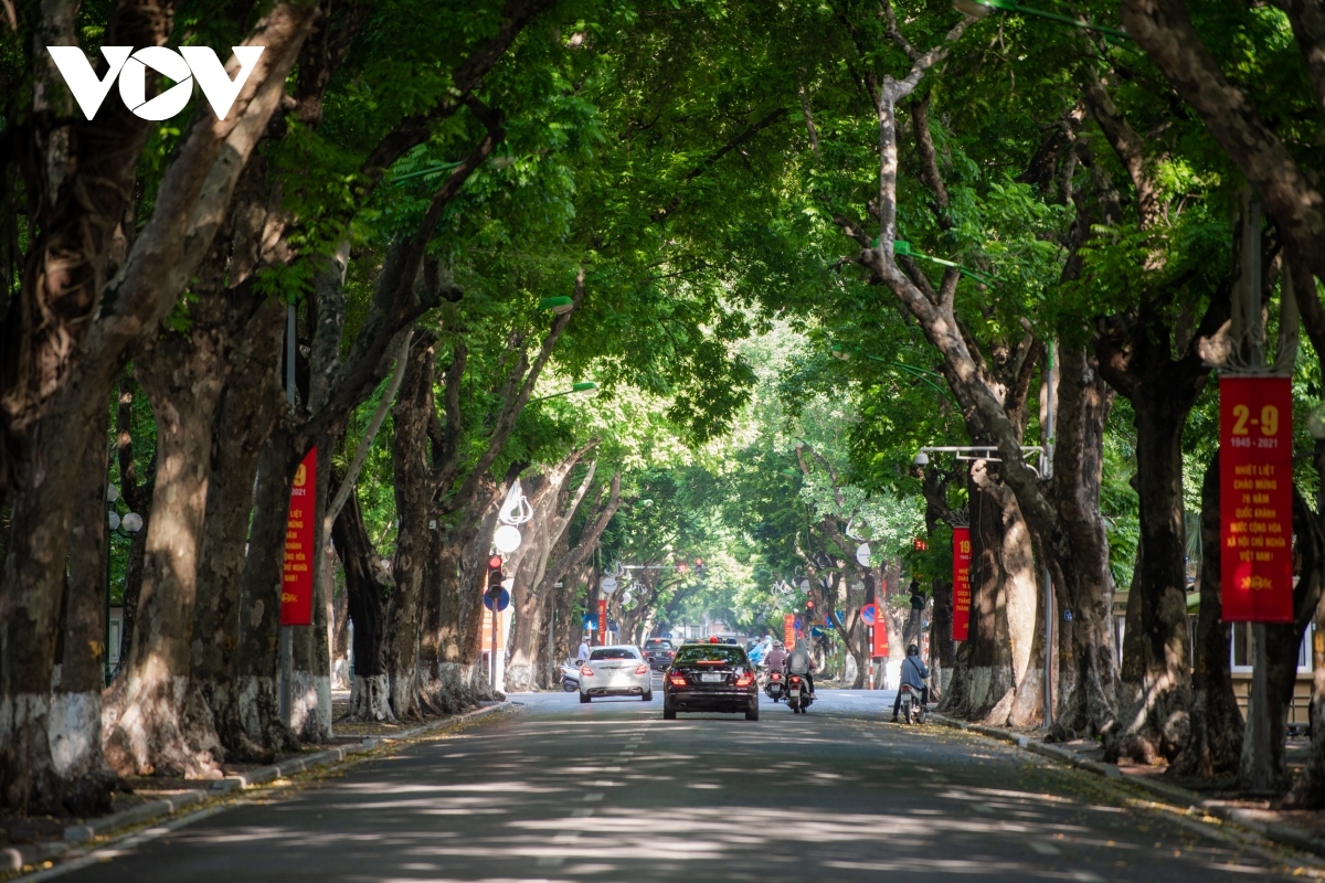 ngo ngang ngam pho phan Dinh phung ngay cuoi thu hinh anh 6