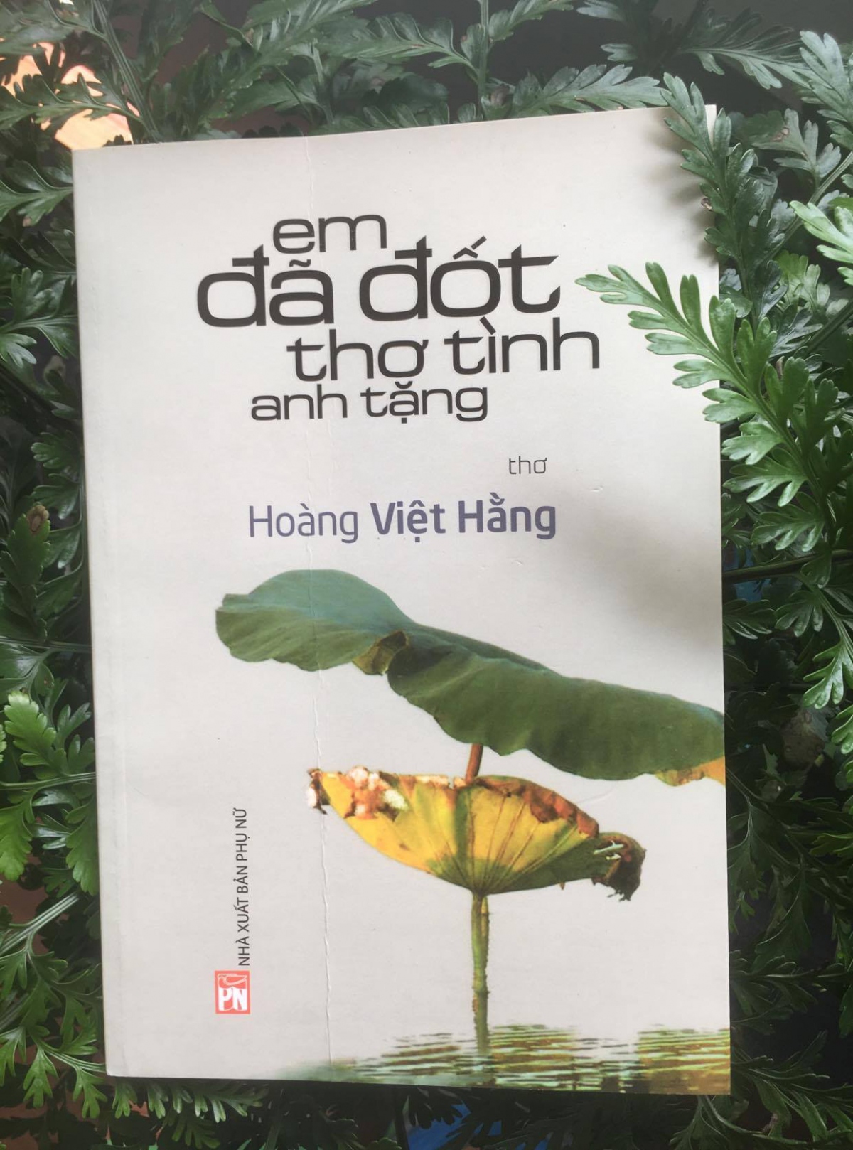 hoang viet hang tho ke noi doi hinh anh 1