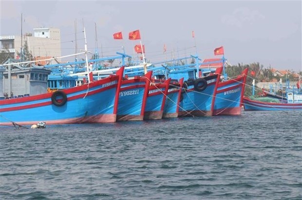 vietnam works towards responsible, sustainable fishery sector picture 1