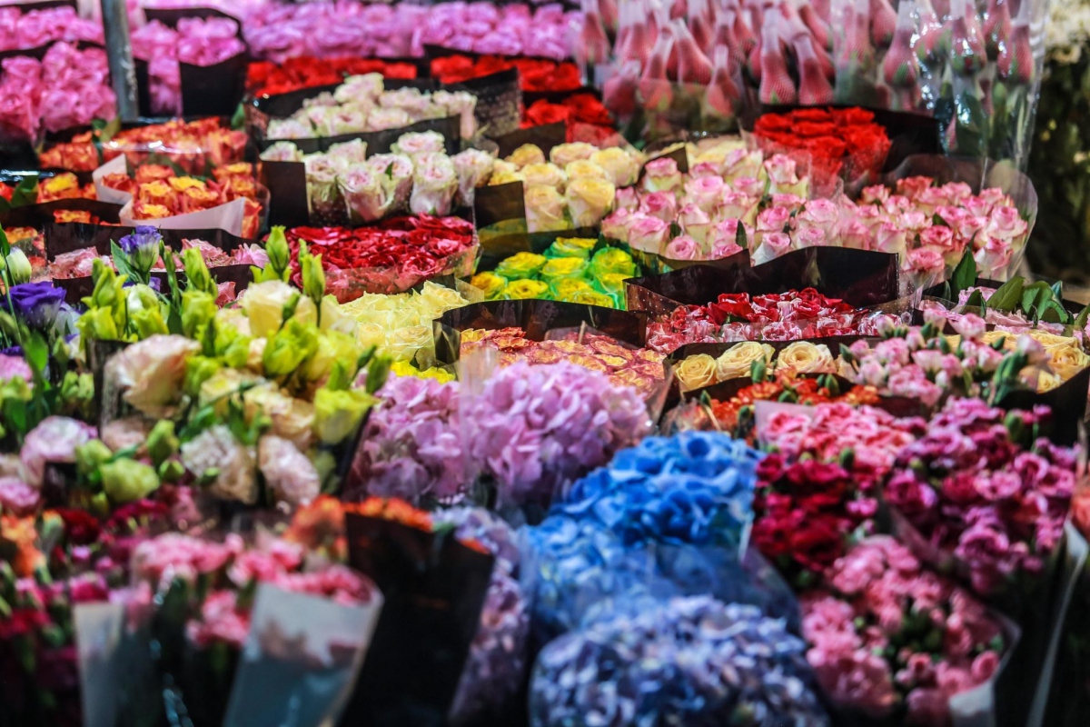 largest flower market in hanoi busy ahead of vietnamese women s day picture 13