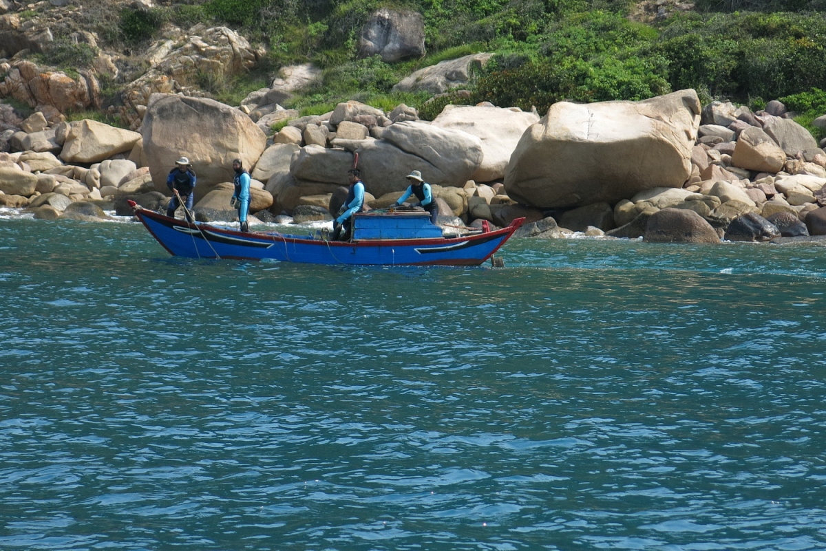 binh Dinh thi diem don khach du lich den ban dao phuong mai hinh anh 1