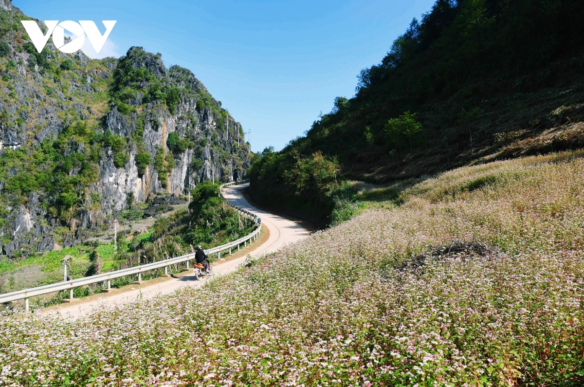 loat tour du lich thang 10, thang 11 san sang nhan khach hinh anh 1