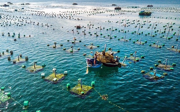 project on marine aquaculture development till 2030 approved picture 1