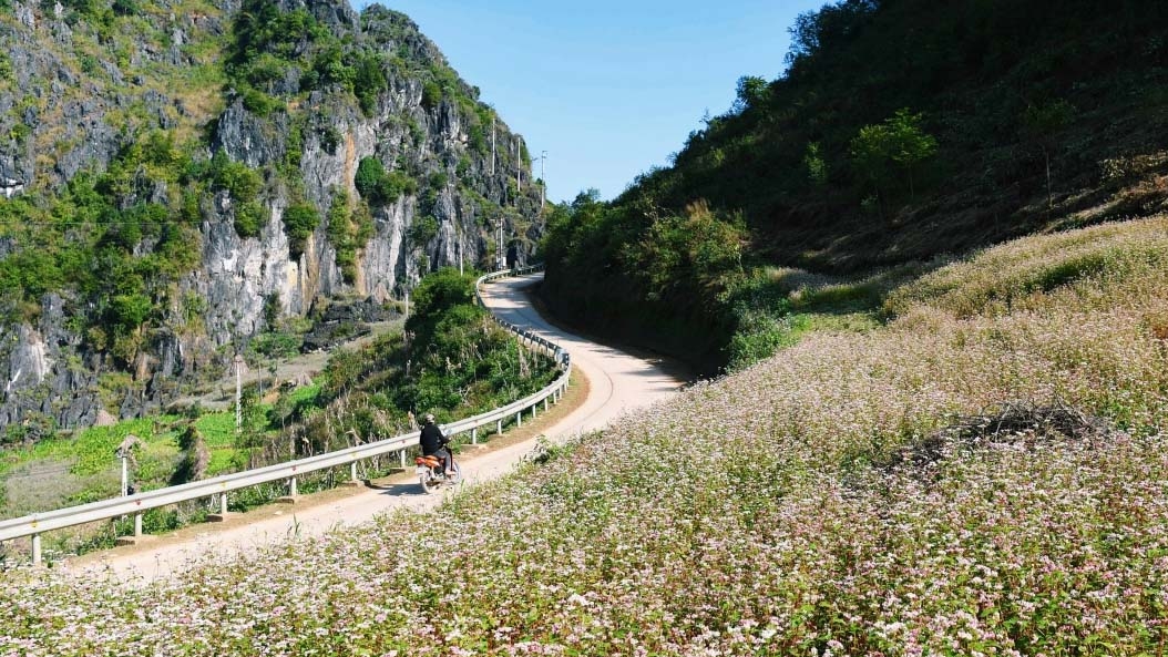 Travel firms launch series of tours for October and November