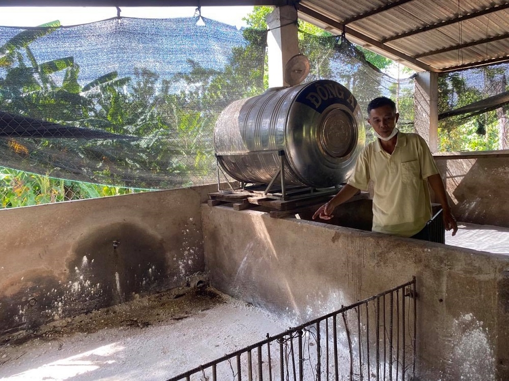 Người chăn nuôi ở Cư M’gar (Đắk Lắk) gặp khó vì dịch chồng dịch